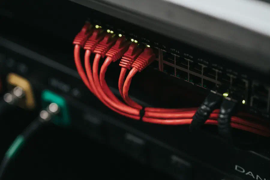 Network cables plugged into a data centre switch